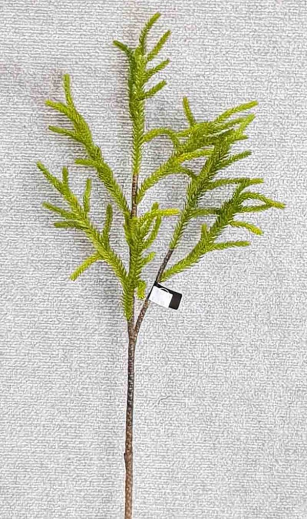Protea Leaf Spray 62 cm
