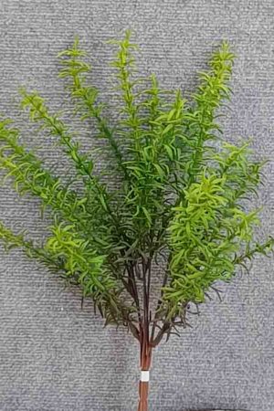 Rosemary Bush 45 cm