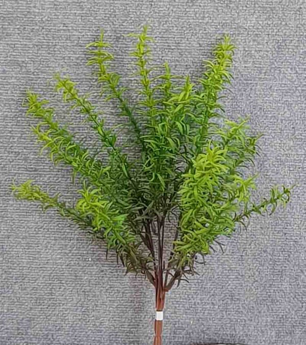 Rosemary Bush 45 cm