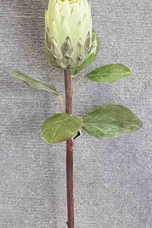 King Protea Green – 67cm