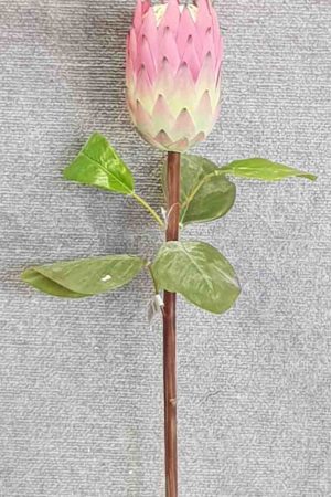 Giant Protea 81cm – Red