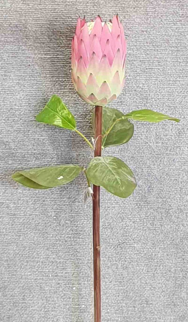 Giant Protea 81cm – Red