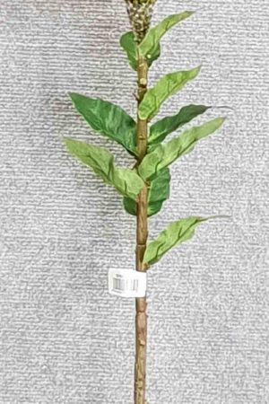 Pincushion Protea Single large – Red