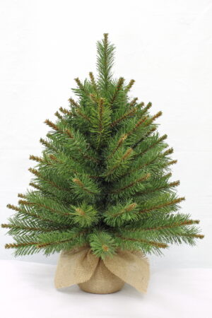 2ft Glendale Pine in Burlap base 61cm
