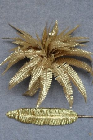 Boston Fern Gold