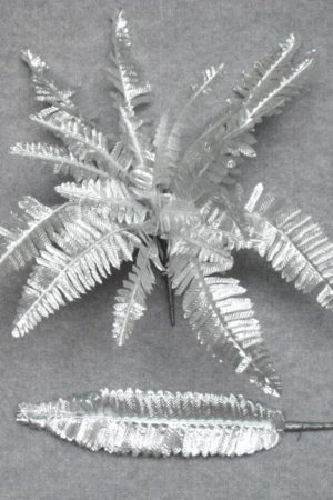 Boston Fern Silver