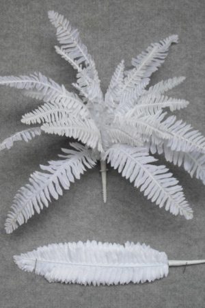Boston Fern White