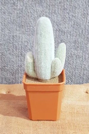 Fake Cactus – Saguaro Cactus Flocked