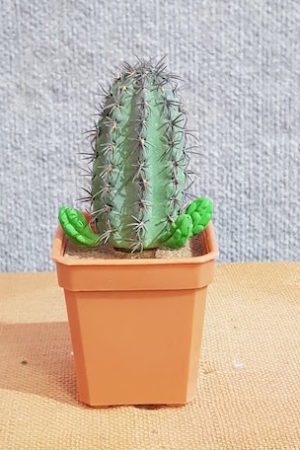 Fake Cactus – Saguaro Cactus Thorns