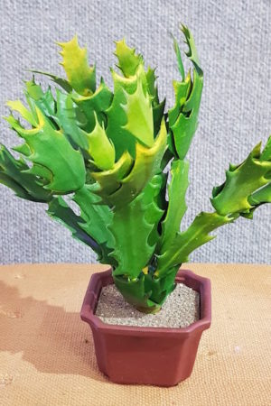 Fake Agave Cactus