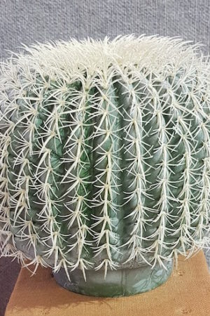 Fake Cactus – Echinocactus Grusonii Giant