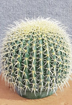 Fake Cactus – Echinocactus Grusonii Small