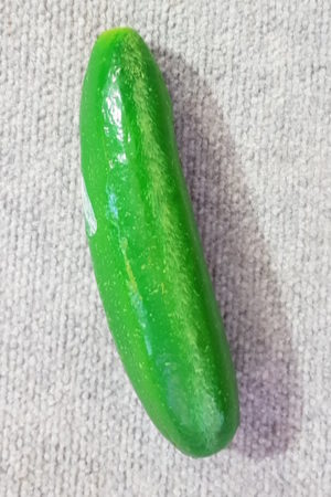 Vegetable Cucumber Single