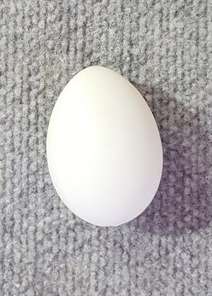 Egg Large White