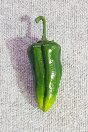 Vegetable Pepper Long Green Single
