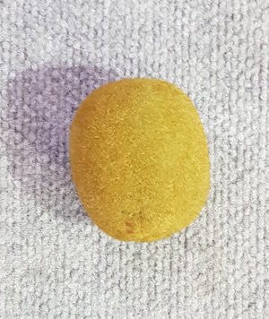 Fruit Kiwi Fruit Single