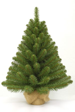 3ft Alpine Spruce Christmas Tree in Burlap covered base 91cm