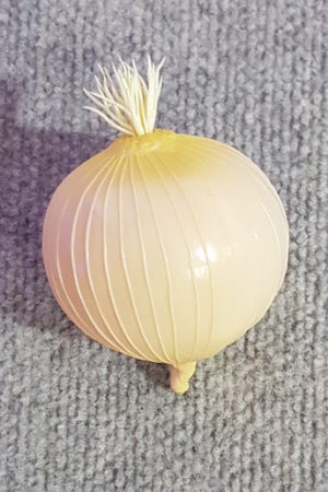Vegetable Onion Single