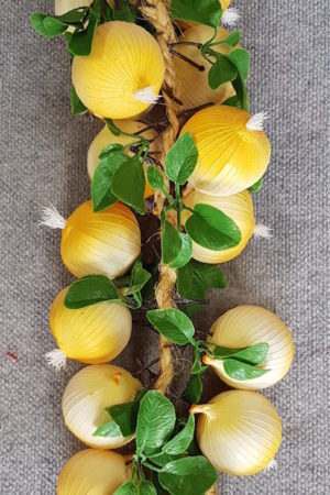 Vegetable Onion String