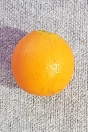 Orange Single
