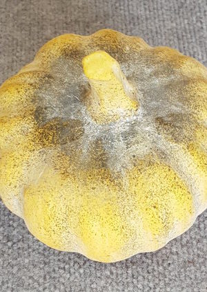 Fake Vegetable Pumpkin Small