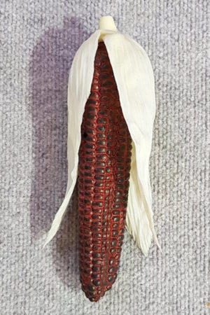 Vegetable Corn Single Red