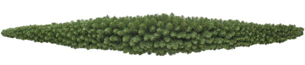 cigar garland