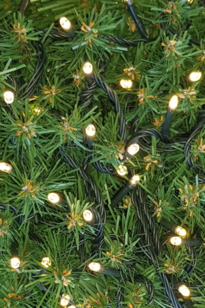 Christmas LED Lights x 100 Warm White (soft yellow) with Transformer