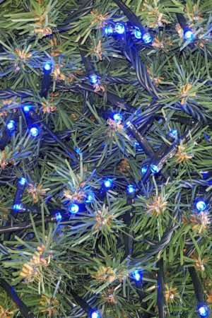 Christmas Tree LED Rice Lights x 160 Blue with Green cord