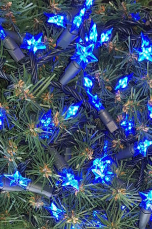 Christmas Tree Star string Blue LED Lights x 160 with green cord