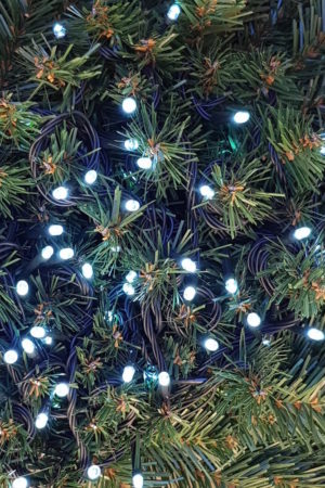 Christmas LED connector Lights White Indoor/Outdoor commercial quality