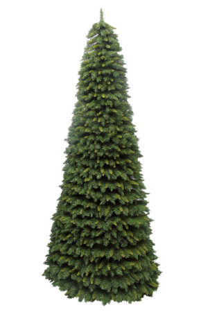 Cone Trees