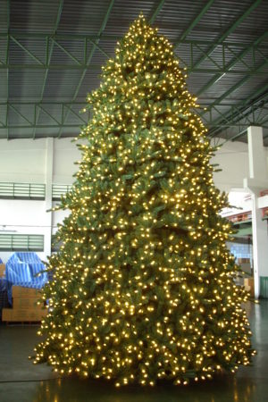 Paramount Spruce Christmas Tree Indoor with Lights
