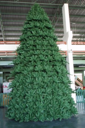 Paramount Spruce Christmas Tree Indoor