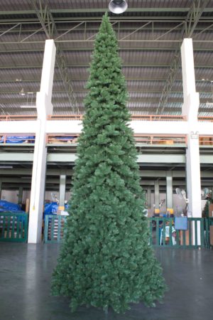 16.5ft Pencil Pine Christmas Tree Green 5.03m