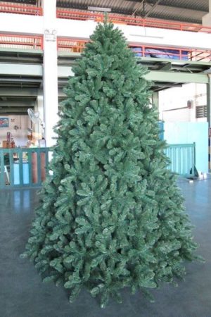Pinewood Spruce Indoor