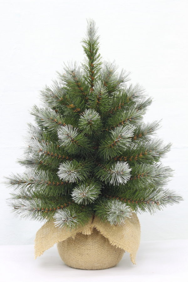 1.5ft Pittsburgh Spruce Christmas Tree Green Frosted 46cm in Burlap base