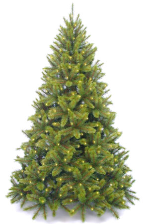 7ft Pre Lit Sierra-Nevada Tree Hinged 2.13mm with 520 Warm White LED’s