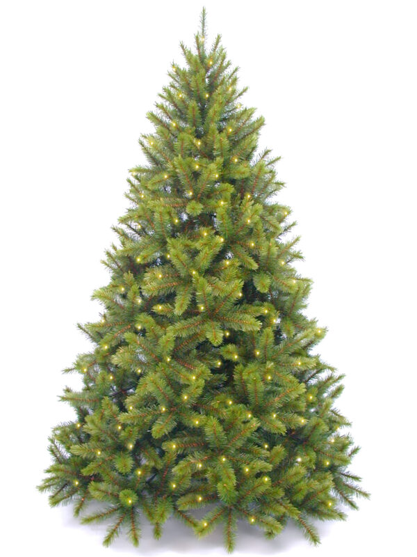 7ft Pre Lit Sierra-Nevada Tree Hinged 2.13mm with 520 Warm White LED’s