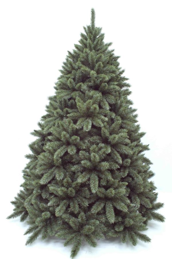 7.5ft Regal Spruce Christmas Tree New Growth Blue Green 2.28m