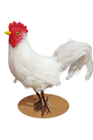 Farm Rooster White