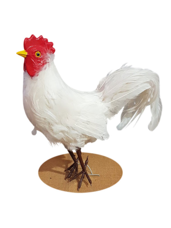 Farm Rooster White