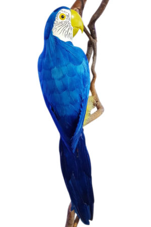 Macaw Blue
