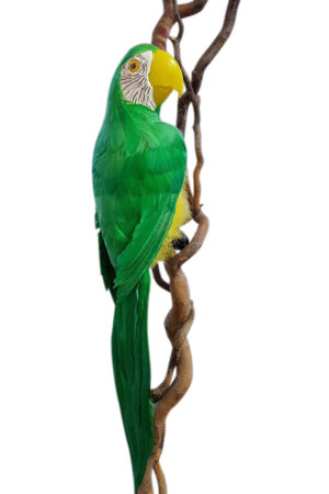 Macaw Green