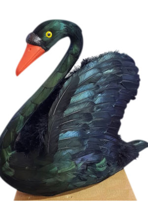 Bird Swan Black