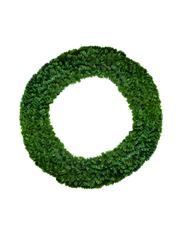 72 inch Alberta Spruce Christmas Wreath Green 1.83m