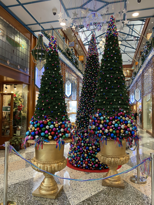 Viv's Cone Tree Display
